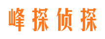 高平小三调查